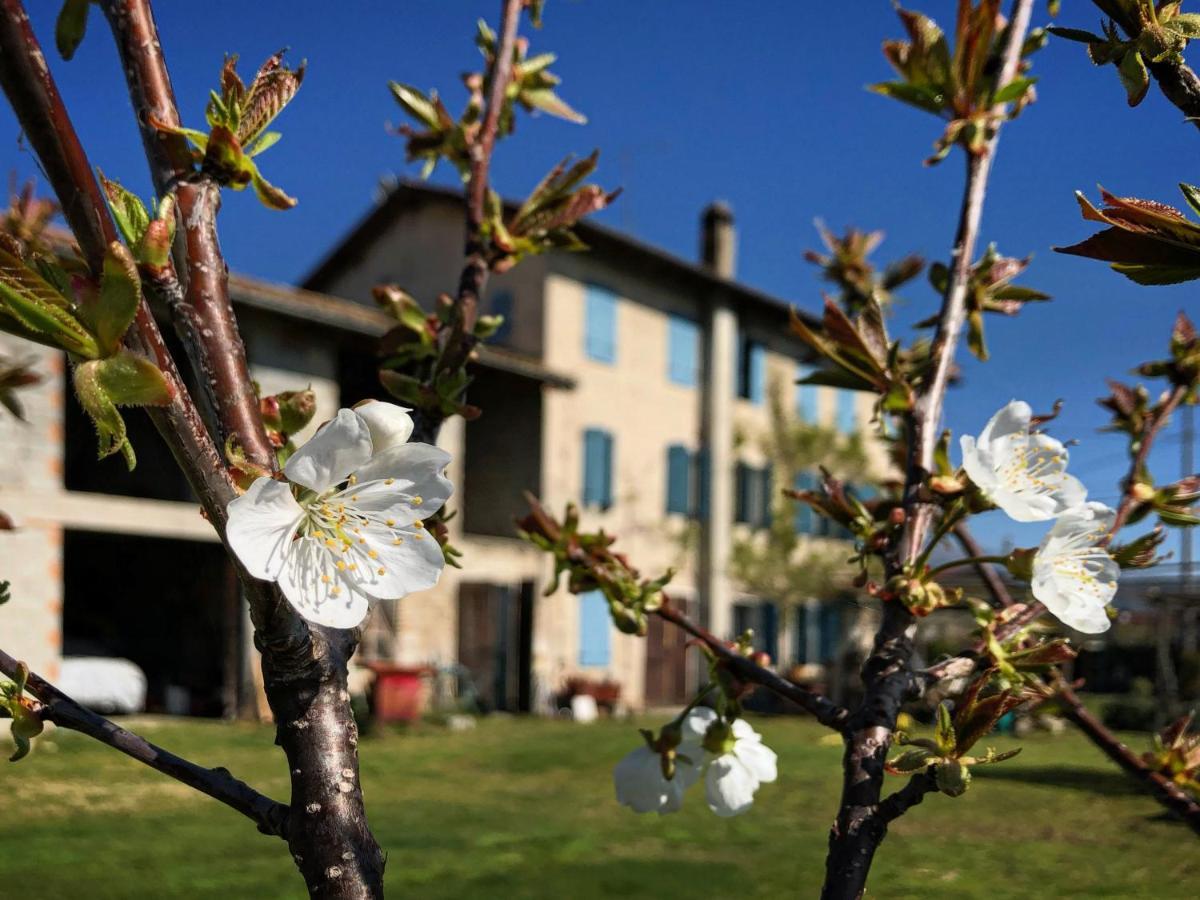 B&B Carlonga Caneva Buitenkant foto